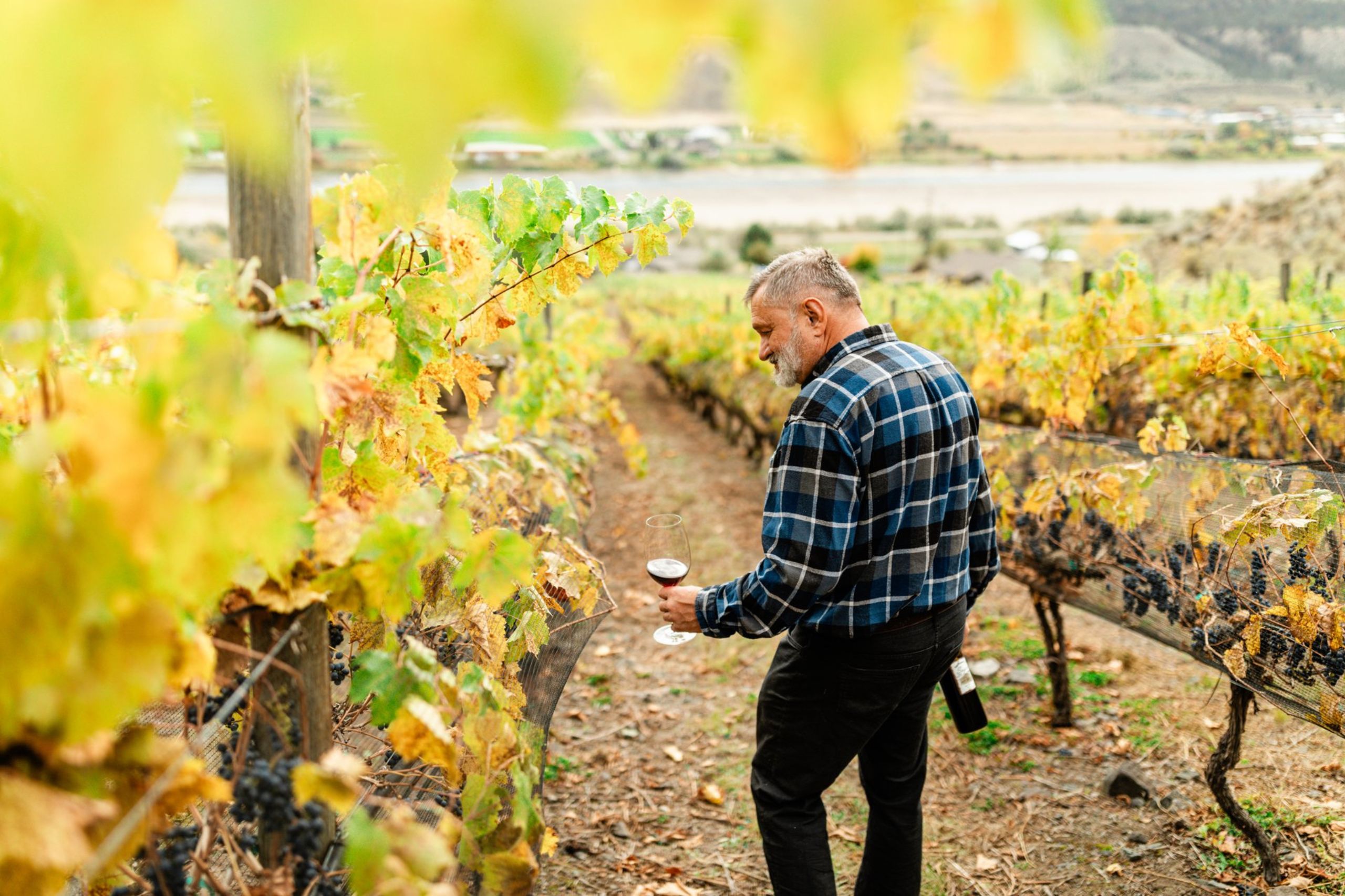 Sagewood Winery - Kamloops Wine Trail